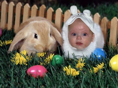 Happy easter funny - Blog2Best