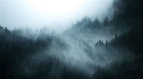 3840x1600 Resolution British Columbia Foggy Forest 3840x1600 Resolution ...