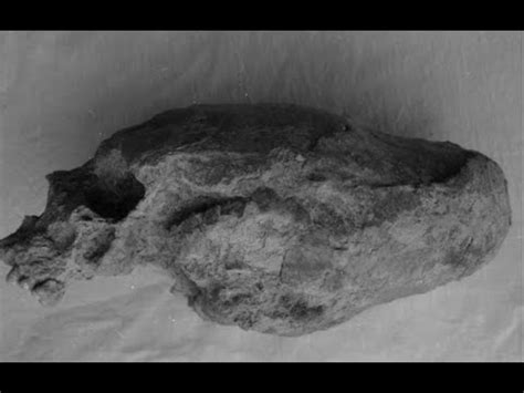 NEPHILIM? Elongated Skulls! Interview w/ Derek Olson - YouTube