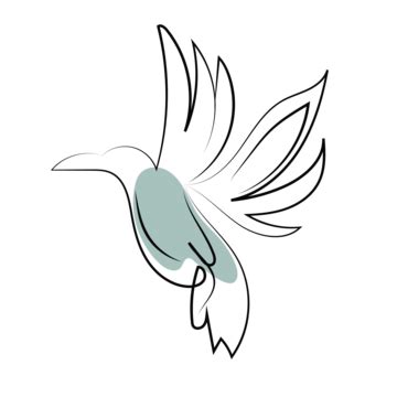 Watercolor Bird Vector, Cute Bird, Bird Art, Bird PNG and Vector with Transparent Background for ...