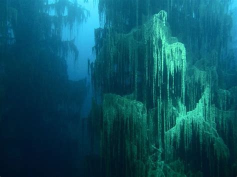 Kazakhstan's Kaindy Lake: Home to Haunting Underwater Ghost Trees - Sometimes Interesting