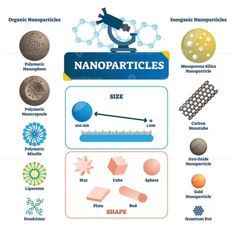 Nanoparticles labeled infographic - VectorMine