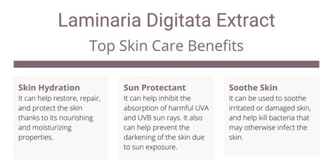 Laminaria Digitata Extract for Skin | Skincare Lab | Skin care benefits, Top skin care products ...