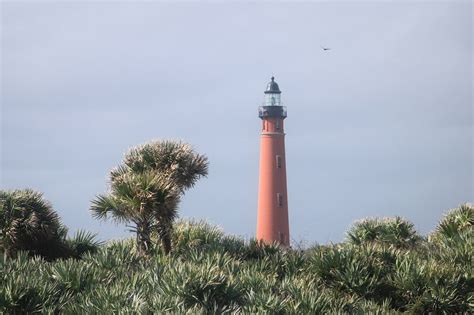 Lighthouse Point Park, Florida — Blooming Magnolias Blog