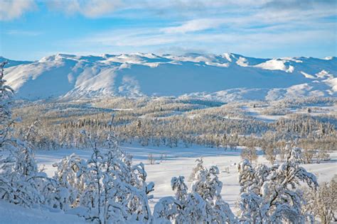 "Telemark Skiing" Images – Browse 3,630 Stock Photos, Vectors, and Video | Adobe Stock