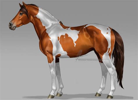 Paint horse by Aomori on DeviantArt