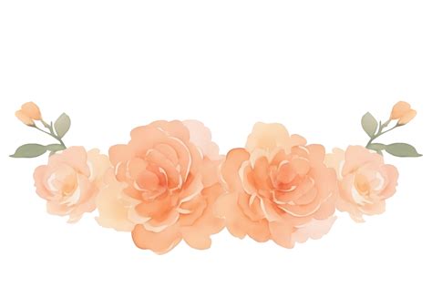 Peach roses bouquet clip art 27131780 PNG