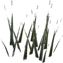 Snape grass (Farming) - The RuneScape Wiki