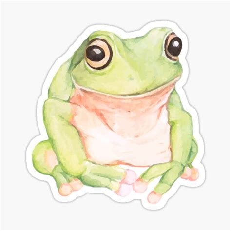 "frog sticker" Sticker for Sale by stickerpages | Redbubble