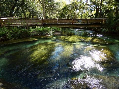 Tubing down Rock Springs is a peaceful, relaxing and serene way to enjoy a bit of the outdoors ...