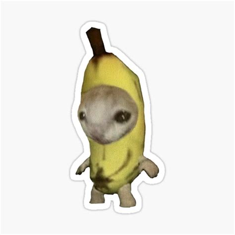 "crying banana cat meme " Sticker for Sale by hollygeorge22 | Redbubble