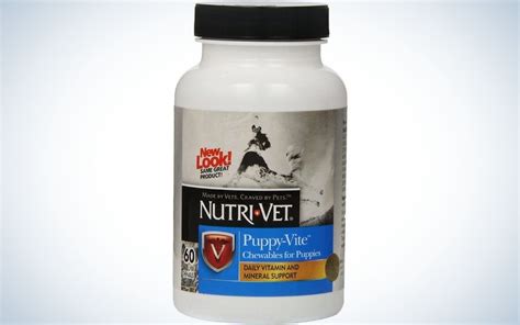 The best dog vitamins of 2023 | Popular Science