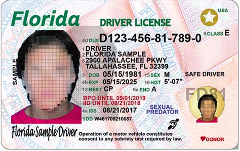 Florida Department Of Motor Vehicles Driver S License Check | Webmotor.org