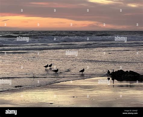 Stunning sunset, Saltcreek Beach Stock Photo - Alamy