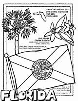 Florida State Tree Coloring Page Pages sketch template