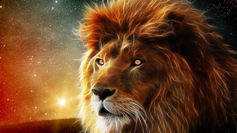 Smart, cool, lion, HD wallpaper | Peakpx