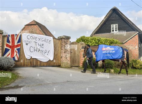 Horse Racing - 2015 Cheltenham Festival - Gold Cup Winners Parade - Old ...