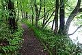 Category:Trails near Oirase Mountain Stream - Wikimedia Commons