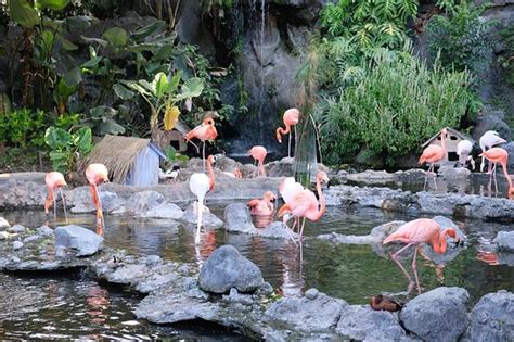 Batu Secret Zoo (Jawa Timur Park 2) - 2019 All You Need to Know BEFORE You Go (with Photos ...