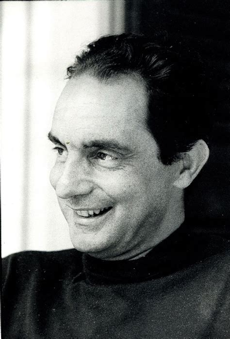 Italo Calvino | Book writer, Writers and poets, Writer