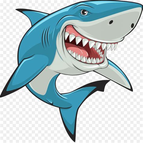 shark vector png 10 free Cliparts | Download images on Clipground 2024