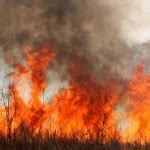Washington Wildfire Grows, Evacuations Ordered