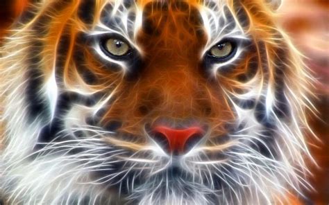 3D Tiger Wallpaper HD - Live Wallpaper HD | Tiger poster, Tiger ...