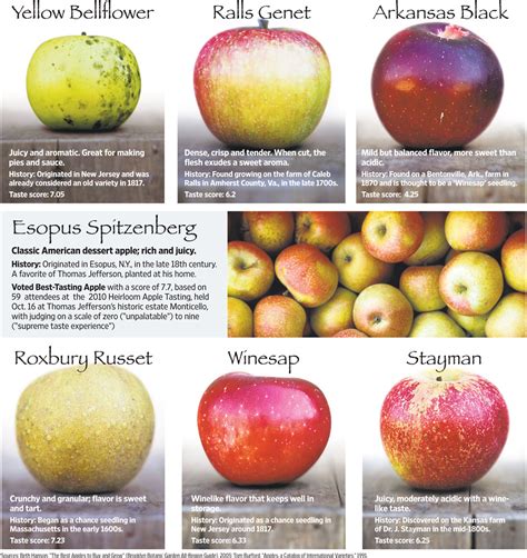 Apple With a Pedigree: Heirloom Varieties Are Turning Up on Mainstream ...