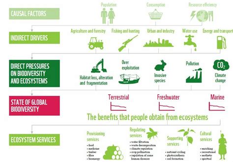 Biodiversity loss has gone beyond the planetary boundaries - Peak Everything, Overshoot, & Collapse