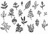 Herbs And Spices Chart coloring Page  Free Printable Coloring Pages sketch template