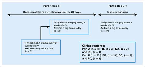 FIG A1. Design of phase IB combination study of toripalimab plus... | Download Scientific Diagram