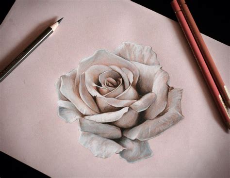 Black and grey instead | Roses drawing, Rose drawing, Beautiful rose ...