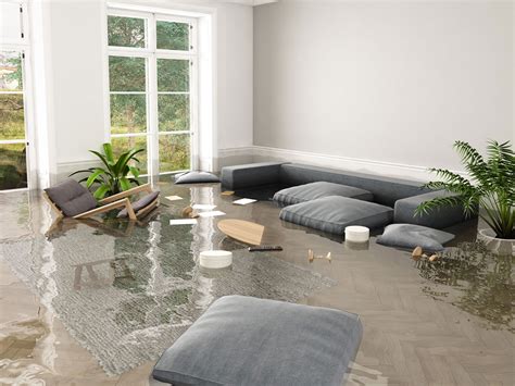 Water Damage Prevention and Detection - Water Mold Fire Restoration