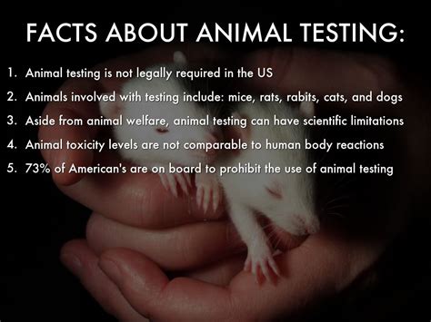 Facts About Makeup Testing On Animals | Saubhaya Makeup