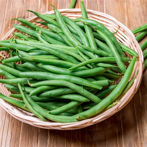 Harvester Bush Bean Seeds - 5 Lb - Non-GMO, Heirloom Green Bean Seeds - Vegetable Garden Seeds ...