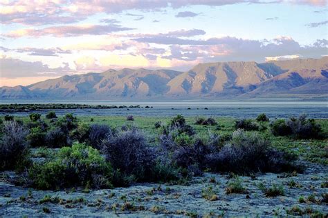 Winnemucca Lake Nevada Last Pink Light Of The Day Photograph by Jack Hursh