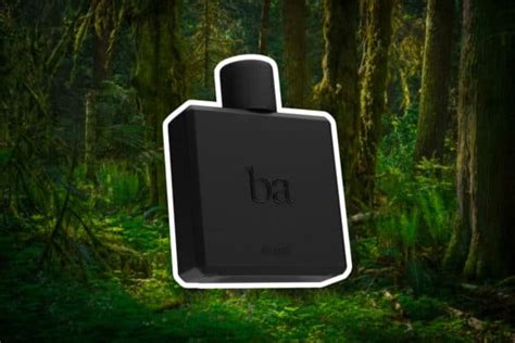 15 Best Perfumes for Men of 2023 - Daily Front Row