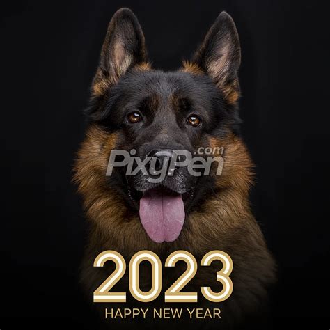 New Year Dog 2023 – Get New Year 2023 Update