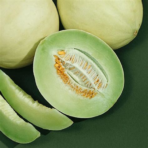 Is Honeydew A Tropical Fruit? All You Need To Know