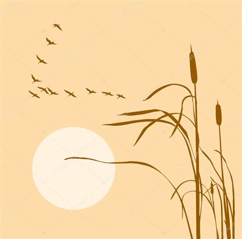 Drawing flock geese on bulrush — Stock Photo © basel101658 #1256889