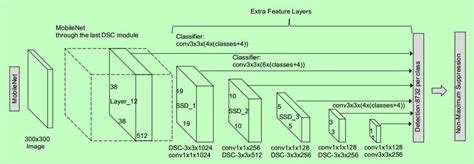 Object Detection using SSD MobileNet with TensorFlow. | by Kamlesh Solanki | Medium