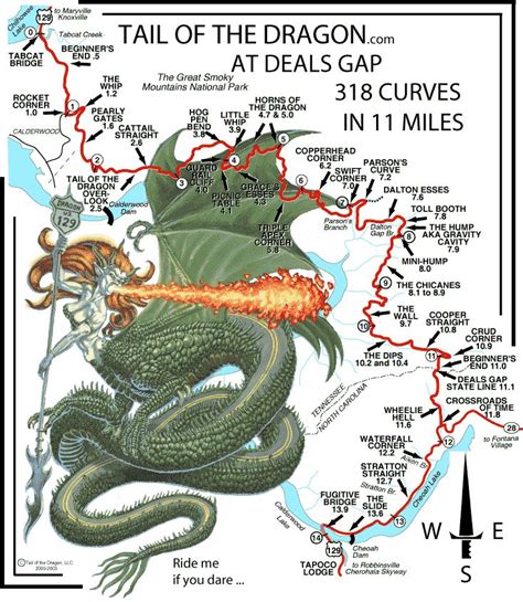 Tail of the Dragon | Dragon tail, Smokey mountains, Bike trips