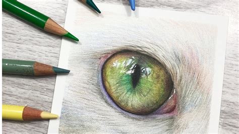 How to Draw Green Cat Eyes in COLORED PENCIL - YouTube