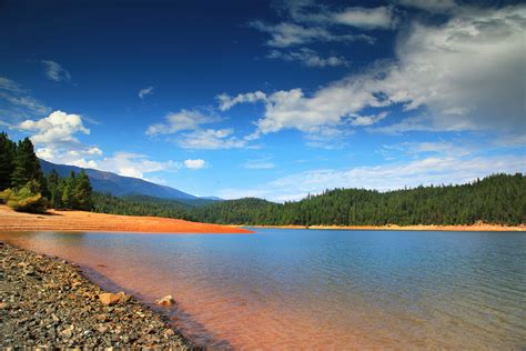 Shasta Trinity Camping