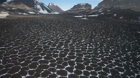 In Antarctica, Scientists Are Lured to a Frozen Desert - The New York Times