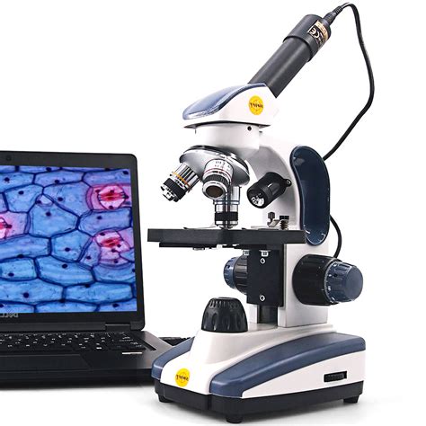 Using a compound microscope lab | examquiz