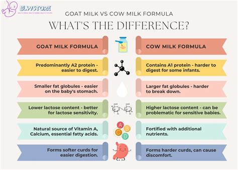 Goat Milk vs Cow Milk Formula: Which One Is Better For Your Baby?