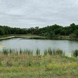 Zorinsky Lake Trail Full Loop - Nebraska | AllTrails