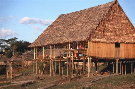 Thatched Hut On Peruvian Amazon Stock Photo - Image: 8941830