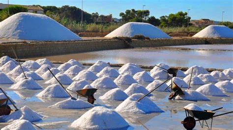 Sicilian Trapani Sea Salt (Fine Grain and Coarse Grain) from the Salts ...